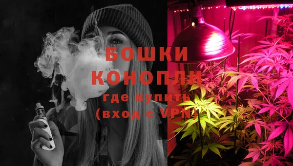 молекула духа Нефтегорск