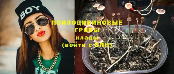 соль курить ск Куровское