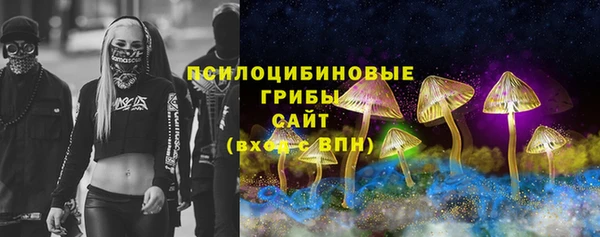 молекула духа Нефтегорск